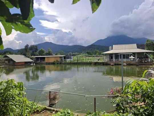 [HÀNG HIẾM YÊN BÀI - BA VÌ] 155M FULL THỔ CƯ - ĐÓN ĐẦU XU HƯỚNG NGHỈ DƯỠNG VÙNG VEN
