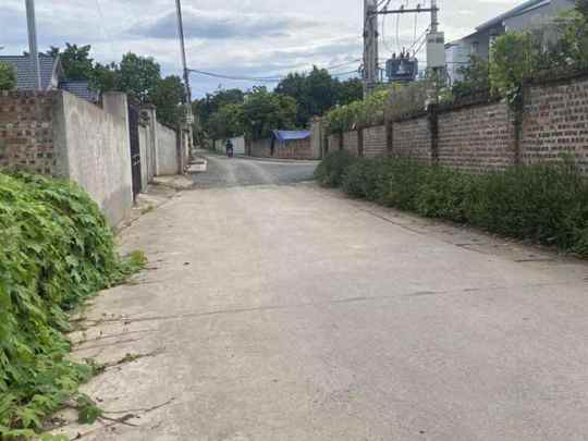 Bán đất trục chính thôn Kim Bằng xã Quảng Oai, TP. Hà Nội, 352m2 mặt tiền gần 15m nở hậu