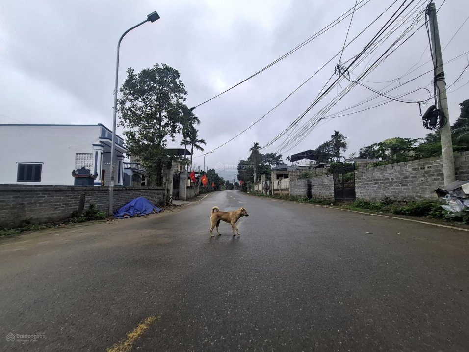 Bán đất tại Xã Yên Bài, Huyện Ba Vì, Hà Nội, 6,3 tỷ, 1100m2