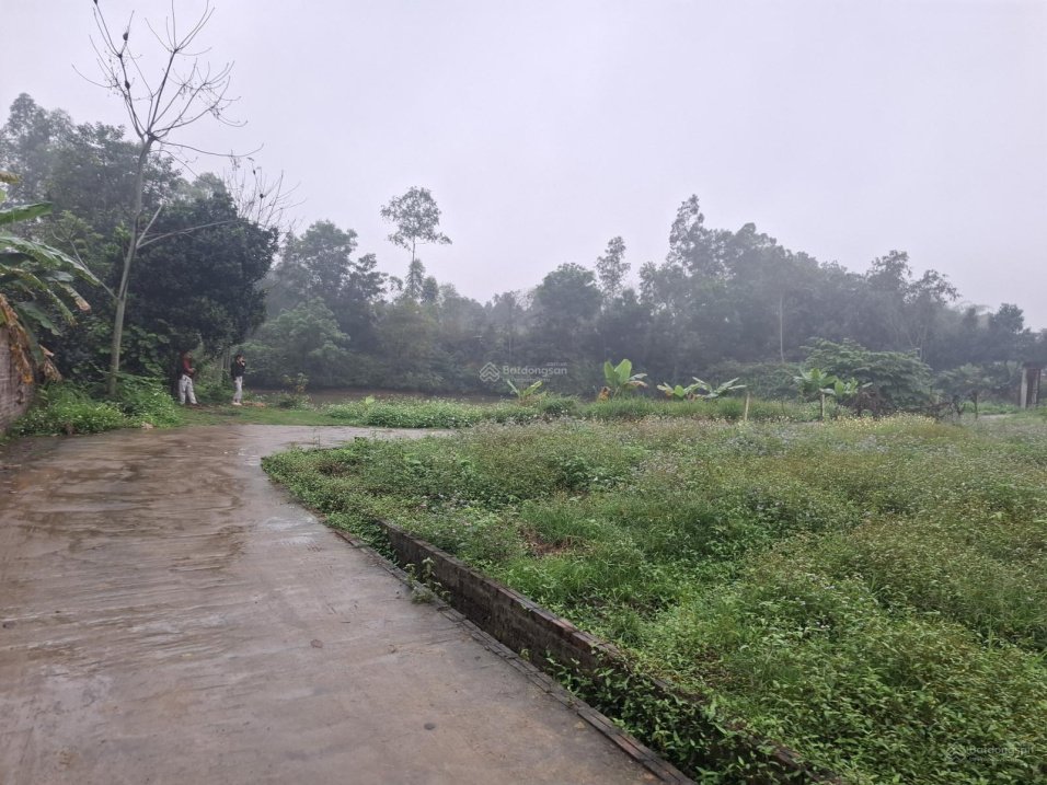 Bán đất lô góc tại ĐT 91, Tiên Phong, Ba Vì, Hà Nội, giá ưu đãi 3,6 tỷ, 2000m2 có ao view đẹp