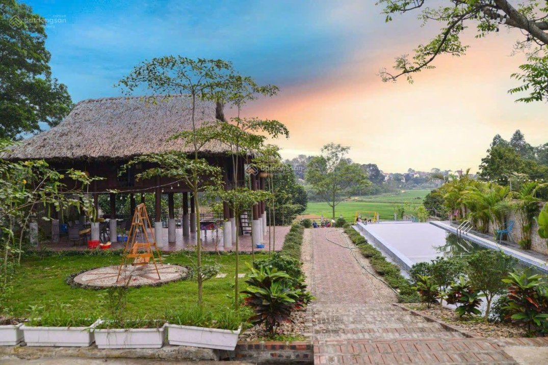 Bán đất tặng nguyên khu homestay trung tâm Ba Vì
Chỉ 8,8 tỷ có ngay 2.715m2, 500m2 đất ở