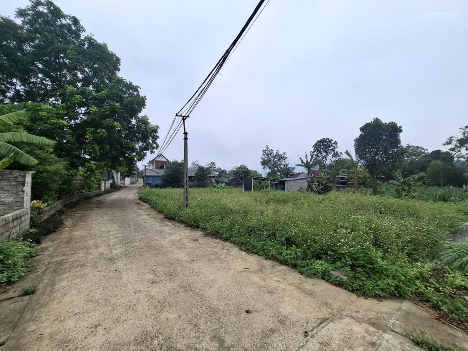 Bán 150m2 full đất ở giá 1 tỷ 750 triệu Yên Bài, Ba Vì | Chỉ 1 lô hiếm có