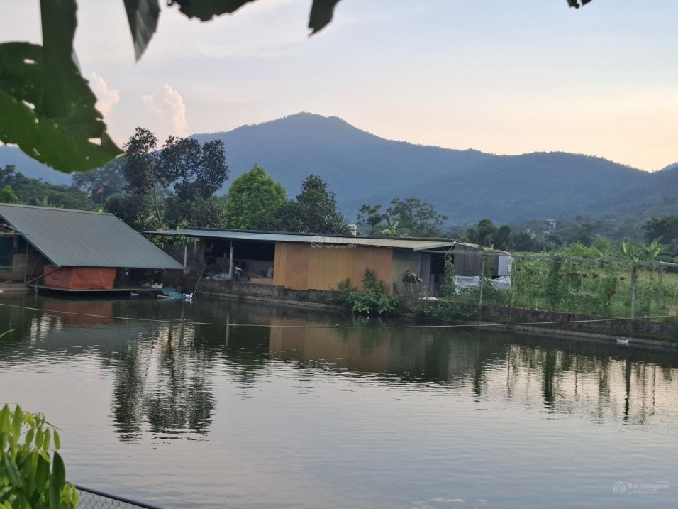 Cơ hội sở hữu lô đất đẹp view hồ - view núi tại Yên Bài, Ba Vì 179m2 full đất ở giá nhỉnh 2 tỷ