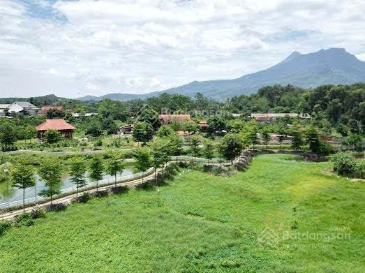 Biệt phủ nhà gỗ quý trên khuôn viên 9.500m2 Suối Hai, Hà Nội, giá nhỉnh 20 tỷ
